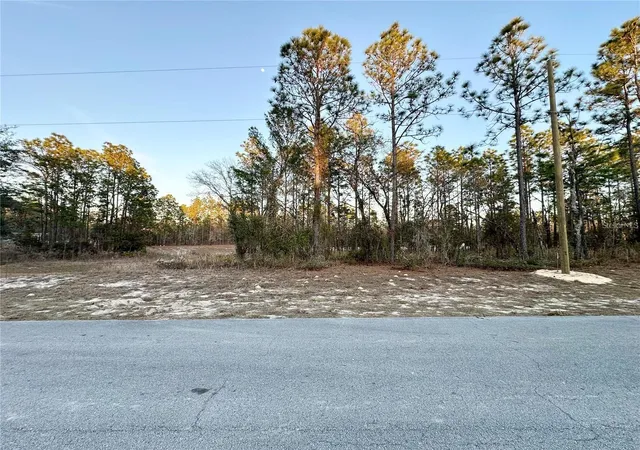 Land for sale at 0 SW 88th Court, OCALA, FL 34481 | MLS# OM732692