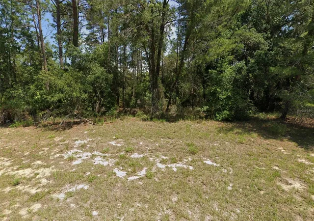 Photo 2 of Land for sale at 8941 SW 131st Place, Ocala, FL 34476 | MLS# OM732694 | Listing updated on 2026-09-23