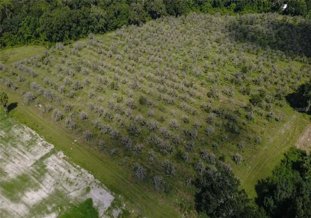 Land for sale at Holly Hammock Rd, DE LEON SPRINGS, FL 32130 | MLS# V4951423