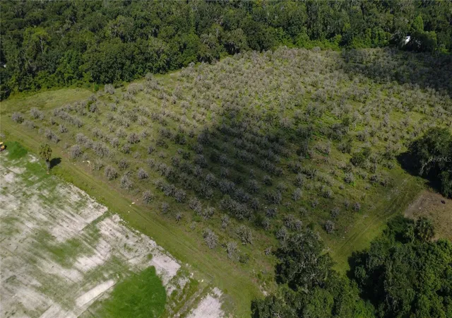Photo 2 of Land for sale at Holly Hammock Rd, De Leon Springs, FL 32130 | MLS# V4951423 | Listing updated on 2026-09-25