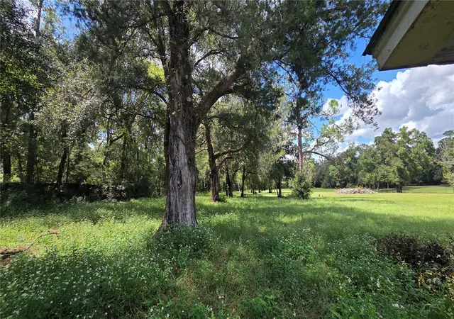 Photo 2 of Single family home for sale at 509 N Court St, Bronson, FL 32621 | MLS# GC543699 | Listing updated on 2026-09-26