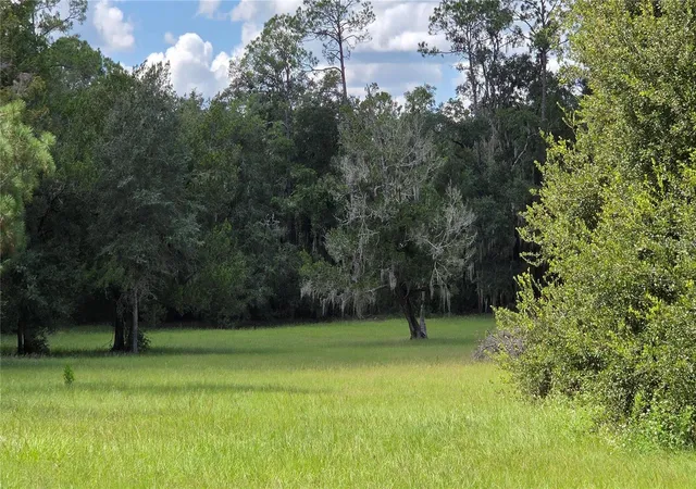 Photo 3 of Single family home for sale at 509 N Court St, Bronson, FL 32621 | MLS# GC543699 | Listing updated on 2026-09-26