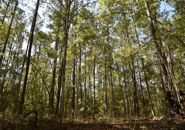Photo 2 of Sale Pending at Southeast 24th Ave, Hawthorne, FL 32640 | MLS# OM732715 | Listing updated on 2026-10-08