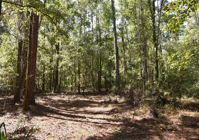 Photo 3 of Sale Pending at Southeast 24th Ave, Hawthorne, FL 32640 | MLS# OM732715 | Listing updated on 2026-10-08