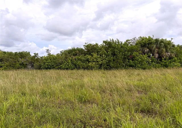 Photo 4 of Land for sale at 12466 Sedan Rd, Placida, FL 33946 | MLS# D6148882 | Listing updated on 2026-10-07