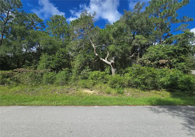 Photo 2 of Land for sale at 996 N Charles Ave, Inverness, FL 34453 | MLS# OM732719 | Listing updated on 2026-09-23
