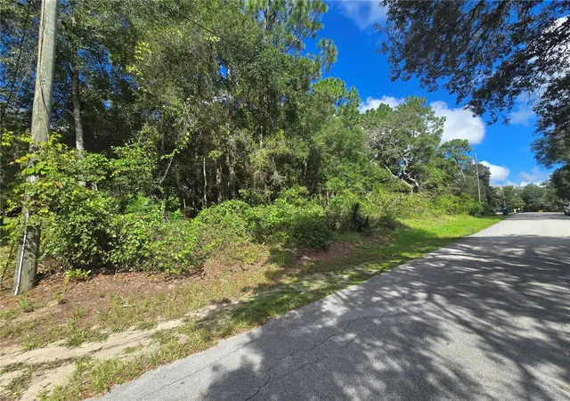 Photo 3 of Land for sale at 996 N Charles Ave, Inverness, FL 34453 | MLS# OM732719 | Listing updated on 2026-09-23