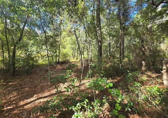 Photo 3 of Land for sale at 996 N Charles Ave, Inverness, FL 34453 | MLS# OM732719 | Listing updated on 2026-09-23