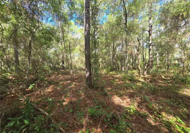 Photo 4 of Land for sale at 996 N Charles Ave, Inverness, FL 34453 | MLS# OM732719 | Listing updated on 2026-09-23
