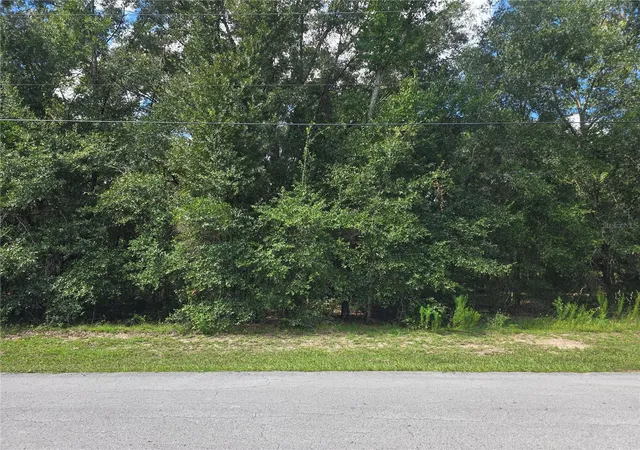 Photo 2 of Land for sale at 366 S Savary Ave, Inverness, FL 34453 | MLS# OM732722 | Listing updated on 2026-09-27