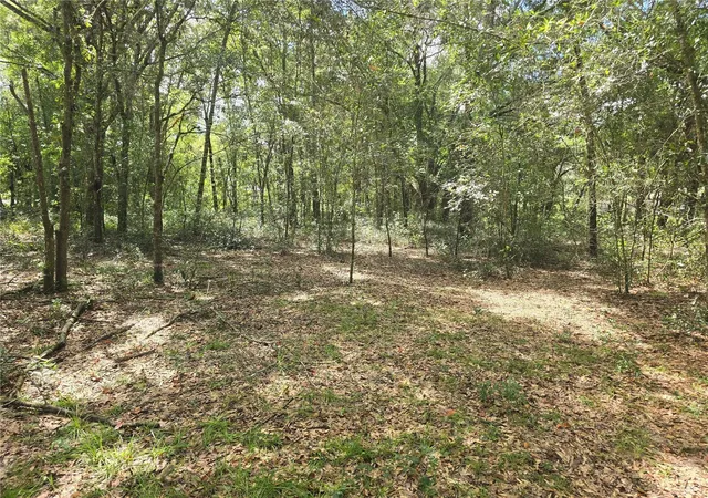 Photo 3 of Land for sale at 366 S Savary Ave, Inverness, FL 34453 | MLS# OM732722 | Listing updated on 2026-09-27