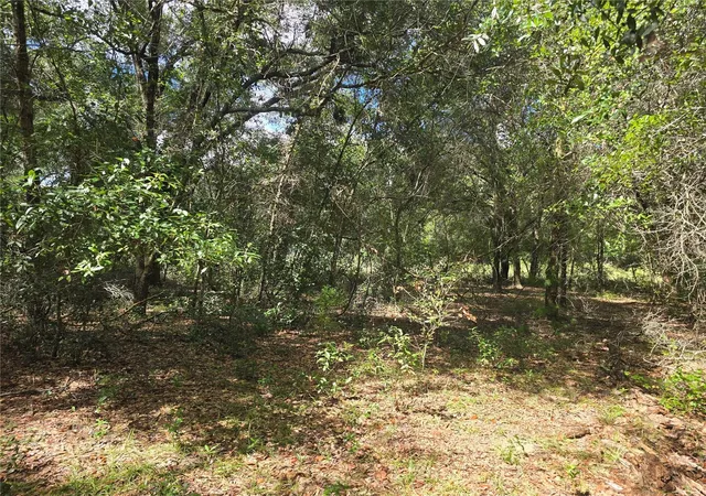 Photo 4 of Land for sale at 366 S Savary Ave, Inverness, FL 34453 | MLS# OM732722 | Listing updated on 2026-09-27