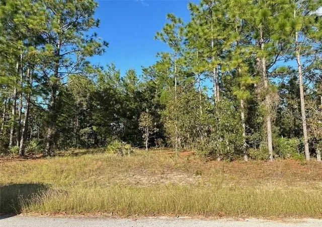 Photo 1 of Sale Pending at 9 & 11 Poppy St, Homosassa, FL 34446 | MLS# W7889725 | Listing updated on 2026-09-23