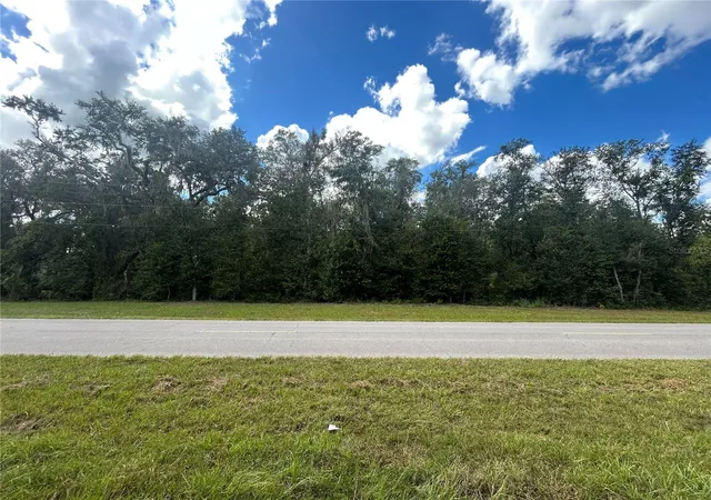Land for sale at Tbd Cr 337, MORRISTON, FL 32668 | MLS# OM732738