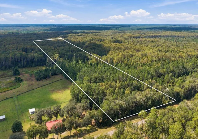 Land for sale at Tbd Cr 337, MORRISTON, FL 32668 | MLS# OM732738