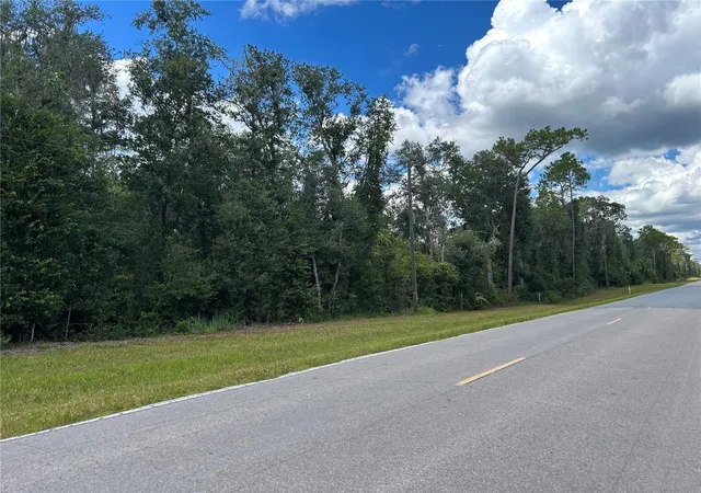Photo 2 of Land for sale at Tbd Cr 337, Morriston, FL 32668 | MLS# OM732738 | Listing updated on 2026-09-23