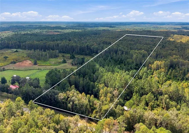Photo 2 of Land for sale at Tbd Cr 337, Morriston, FL 32668 | MLS# OM732738 | Listing updated on 2026-10-09