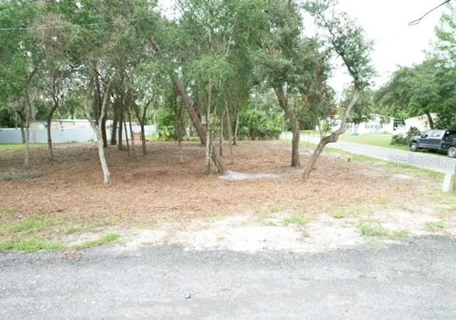 Photo 1 of Land for sale at Luella Ave, Paisley, FL 32767 | MLS# G5118141 | Listing updated on 2026-09-30