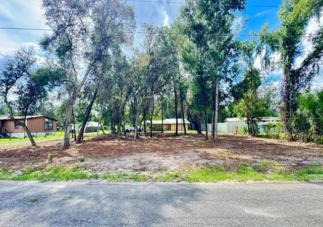 Photo 3 of Land for sale at Luella Ave, Paisley, FL 32767 | MLS# G5118141 | Listing updated on 2026-09-30