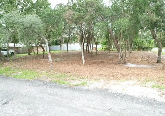 Photo 4 of Land for sale at Luella Ave, Paisley, FL 32767 | MLS# G5118141 | Listing updated on 2026-09-30