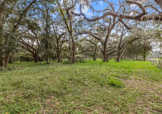 Photo 2 of Land for sale at 17445 Palmer Ln, Brooksville, FL 34610 | MLS# TB8551270 | Listing updated on 2026-09-26