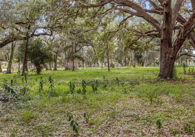 Photo 3 of Land for sale at 17445 Palmer Ln, Brooksville, FL 34610 | MLS# TB8551270 | Listing updated on 2026-09-26