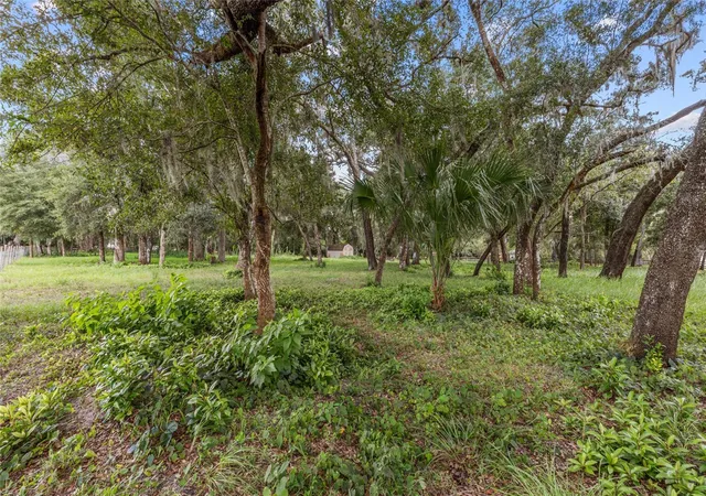 Photo 4 of Land for sale at 17445 Palmer Ln, Brooksville, FL 34610 | MLS# TB8551270 | Listing updated on 2026-09-26