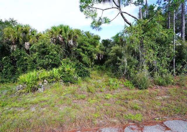 Land for sale at Baynes Rd, NORTH PORT, FL 34288 | MLS# C7531069