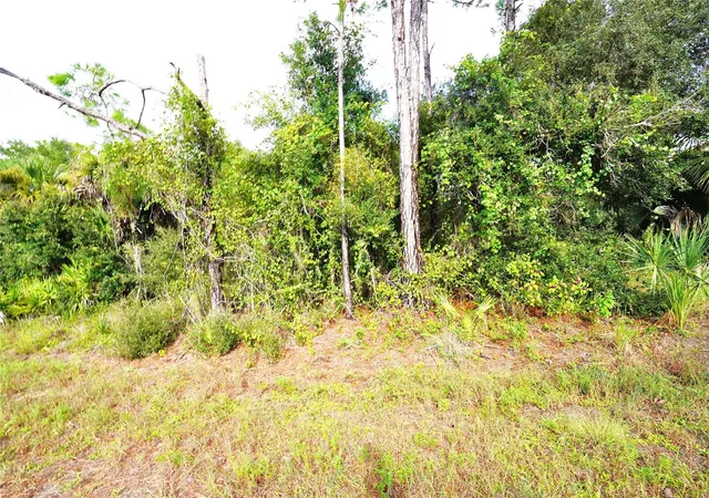 Photo 1 of Land for sale at Baynes Rd, North Port, FL 34288 | MLS# C7531069 | Listing updated on 2026-09-23