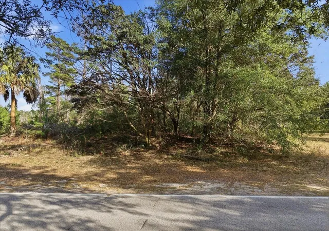 Photo 2 of Land for sale at 118 Oak Village Blvd, Homosassa, FL 34446 | MLS# TB8551302 | Listing updated on 2026-09-23
