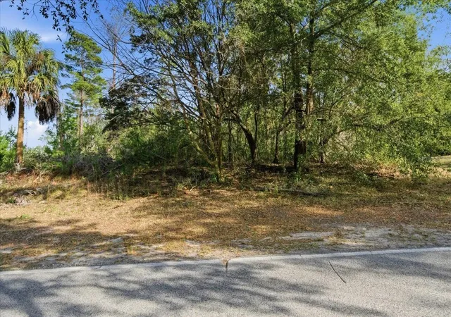 Photo 3 of Land for sale at 118 Oak Village Blvd, Homosassa, FL 34446 | MLS# TB8551302 | Listing updated on 2026-09-23
