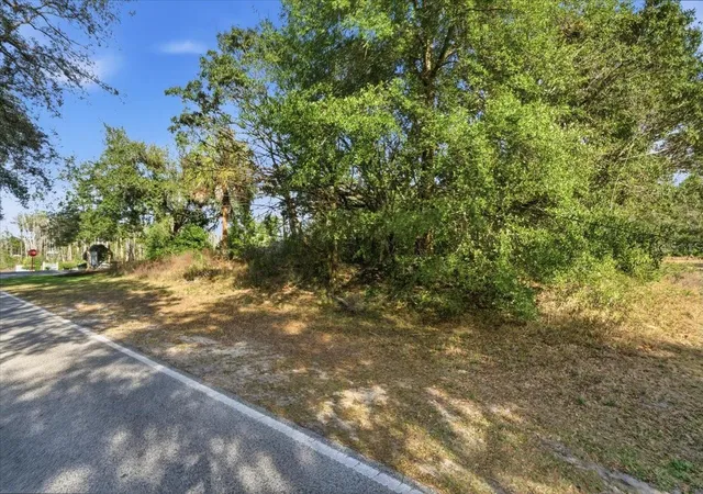 Photo 4 of Land for sale at 118 Oak Village Blvd, Homosassa, FL 34446 | MLS# TB8551302 | Listing updated on 2026-09-23
