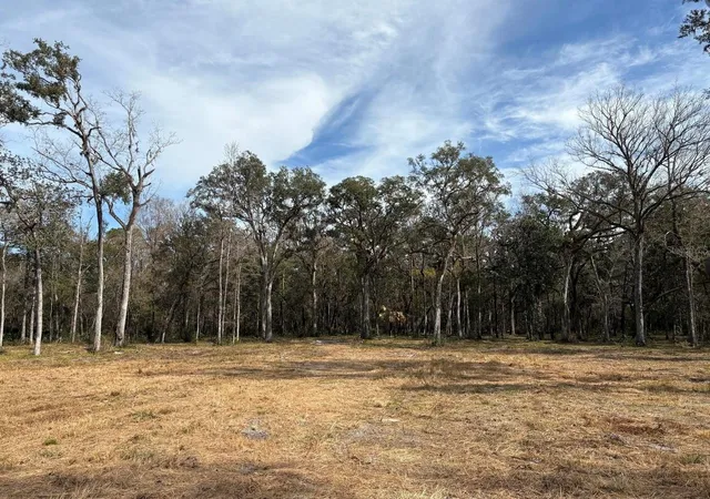 Land for sale at Lake Lindsey Rd, BROOKSVILLE, FL 34601 | MLS# TB8551307