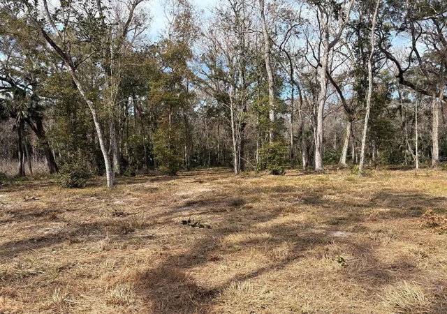 Photo 1 of Land for sale at Lake Lindsey Rd, Brooksville, FL 34601 | MLS# TB8551307 | Listing updated on 2026-09-24