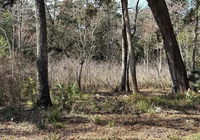 Photo 2 of Land for sale at Lake Lindsey Rd, Brooksville, FL 34601 | MLS# TB8551307 | Listing updated on 2026-09-24