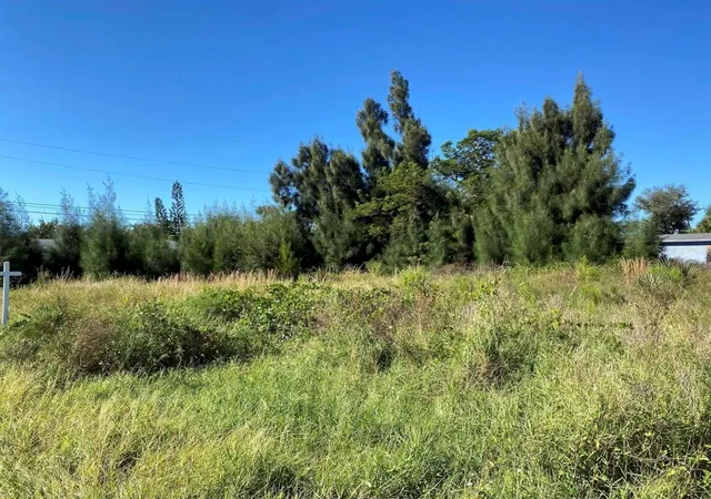 Land for sale at 0 Olive St, ENGLEWOOD, FL 34223 | MLS# A4707095