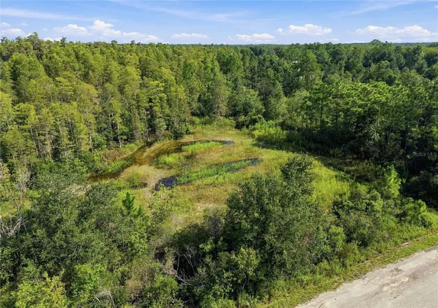Photo 4 of Land for sale at 26633 Pheasant Run, Wesley Chapel, FL 33544 | MLS# TB8551332 | Listing updated on 2026-09-23