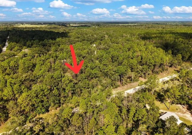 Photo 1 of Land for sale at 6339 Nw 17th Court, Bell, FL 32619 | MLS# GC543728 | Listing updated on 2026-09-25