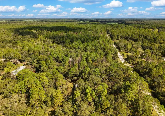 Photo 3 of Land for sale at 6339 Nw 17th Court, Bell, FL 32619 | MLS# GC543728 | Listing updated on 2026-09-25