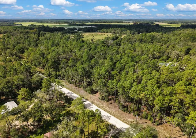 Photo 3 of Land for sale at 6339 NW 17th Court, Bell, FL 32619 | MLS# GC543728 | Listing updated on 2026-09-25