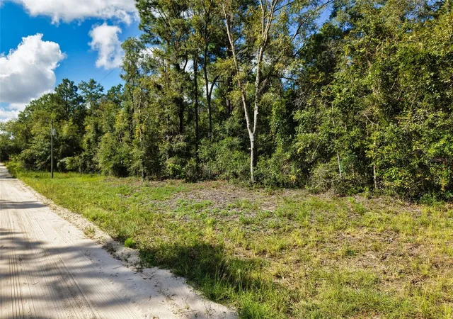 Photo 4 of Land for sale at 6339 NW 17th Court, Bell, FL 32619 | MLS# GC543728 | Listing updated on 2026-09-25