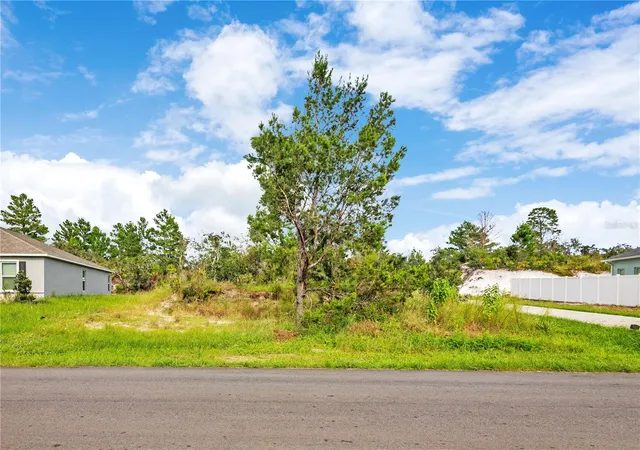 Photo 3 of Land for sale at 55 Orchid Ct, Kissimmee, FL 34759 | MLS# S5158140 | Listing updated on 2026-09-25