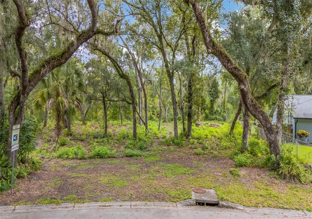 Land for sale at 11731 Gail Dr, TEMPLE TERRACE, FL 33617 | MLS# TB8551385