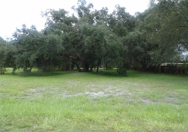 Land for sale at East St, MULBERRY, FL 33860 | MLS# TB8551406