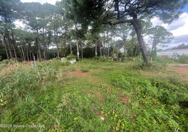 Photo 3 of Land for sale at 4555 N Courtenay Pkwy, Merritt Island, FL 32953 | MLS# O6444156 | Listing updated on 2026-09-24