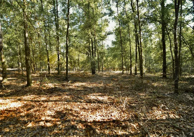 Photo 2 of Sale Pending at 00 Southwest 40th Ave, Jasper, FL 32052 | MLS# OM732768 | Listing updated on 2026-10-12