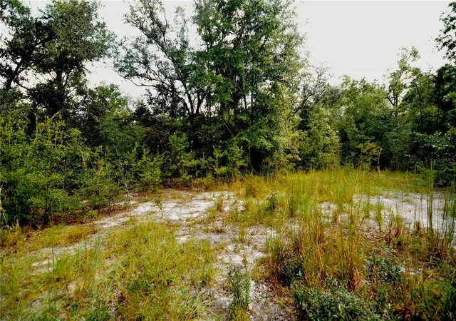 Photo 3 of Sale Pending at 00 Southwest 40th Ave, Jasper, FL 32052 | MLS# OM732768 | Listing updated on 2026-10-12