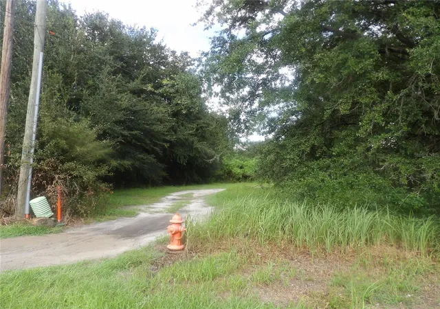 Land for sale at Cain, MULBERRY, FL 33860 | MLS# TB8551431