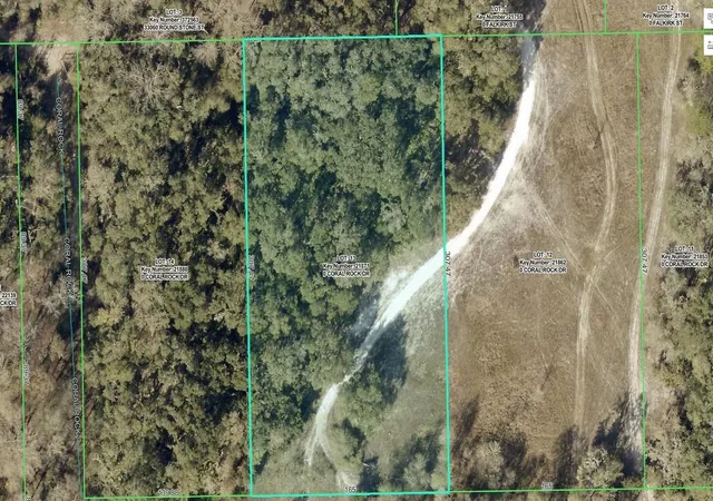Land for sale at 33099 Coral Rock Dr, WEBSTER, FL 33597 | MLS# A4707134