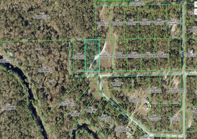 Photo 2 of Land for sale at 33099 Coral Rock Dr, Webster, FL 33597 | MLS# A4707134 | Listing updated on 2026-10-01